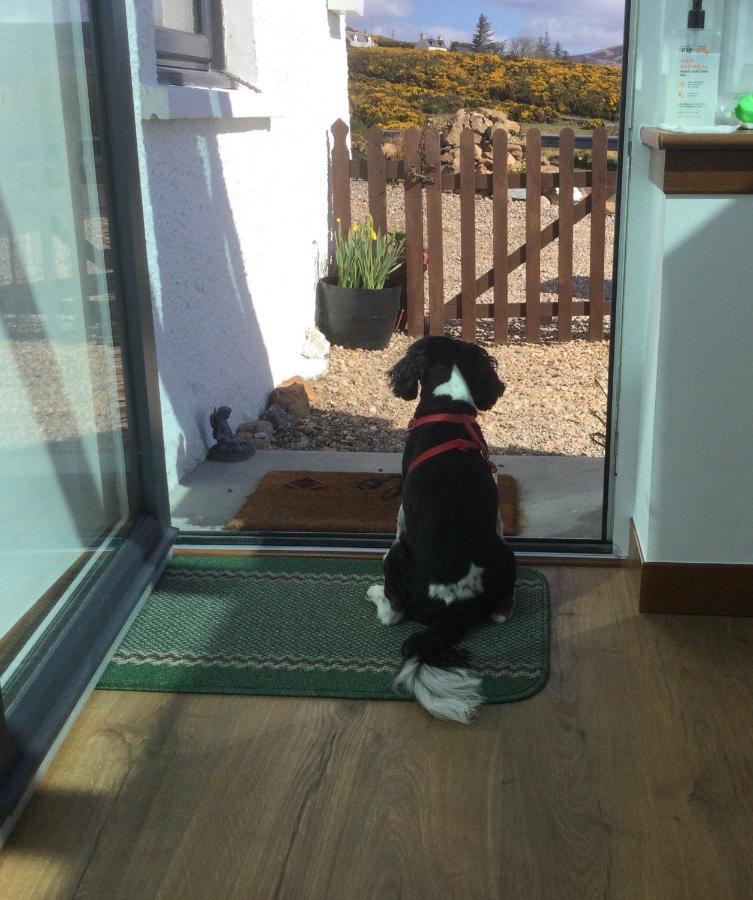 Piper'S Cave Bed And Breakfast Helmsdale Εξωτερικό φωτογραφία