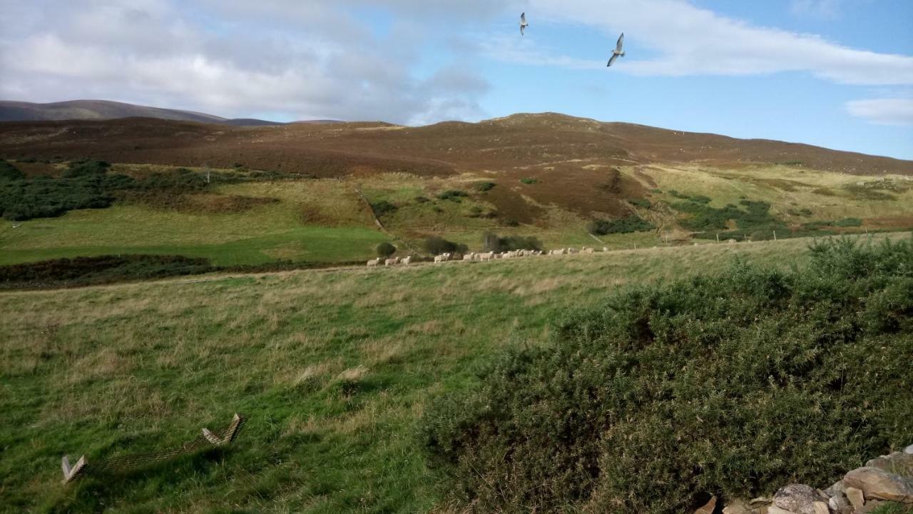 Piper'S Cave Bed And Breakfast Helmsdale Εξωτερικό φωτογραφία